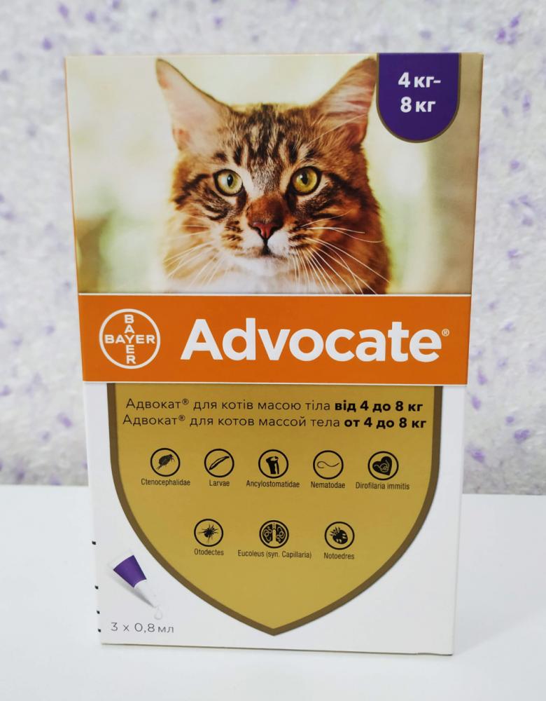 Обновленный дизайн упаковки Bayer Advocate для кошек от 4 до 8 кг