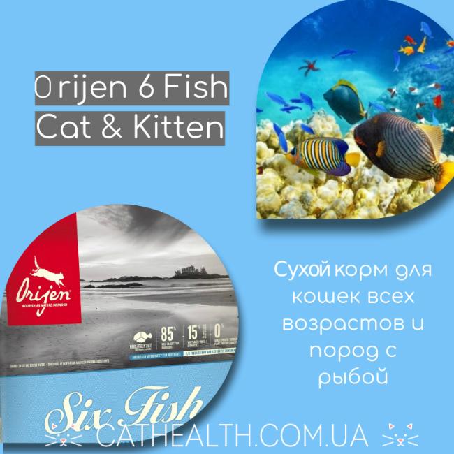 Orijen 6 Fish Cat & Kitten