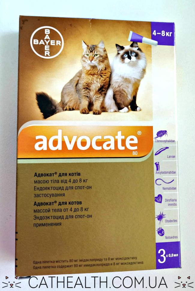 Упаковка капель Bayer Advocate для кошек 4-8 кг