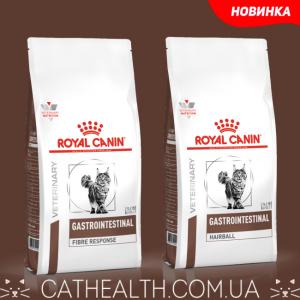 Лечебный корм для кошек Royal Canin Fibre Response Feline снят с продажи. На замену пришли Gastrointestinal Fibre Response и Gastrointestinal Hairball. Когда ожидать новинки в Украине?