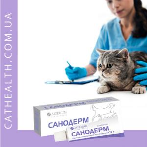 Відгуки: Лікувальний крем для котів та собак Санодерм (Sanodermum). Маст-хев в домашній ветаптечці!