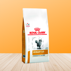 Отзывы: Лечебный корм Royal Canin Urinary S/O Moderate Calorie. Первые признаки мочекаменной болезни у кошек