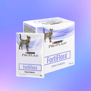 FortiFlora (Фортифлора) витаминизированный пробиотик для кошек: отзывы, состав, применение