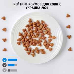 Рейтинг кормів для котів Україна 2021. ТОП 5 кращих виробників